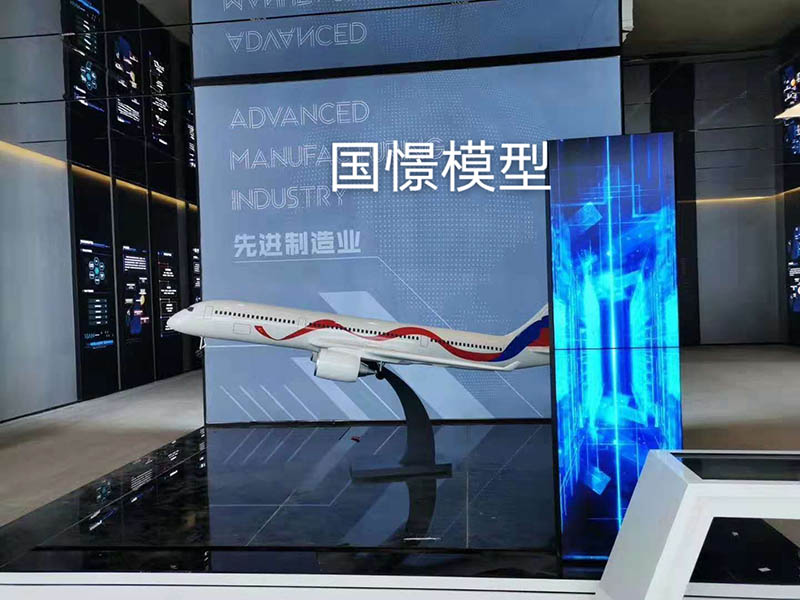 元江飞机模型